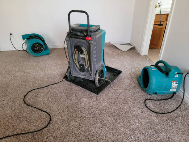 Best Sewage cleanup and water damage restoration  in Granite Falls, MN