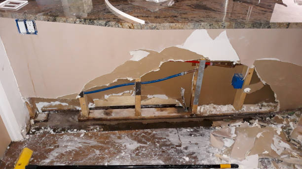 Best Flood damage cleanup  in Granite Falls, MN