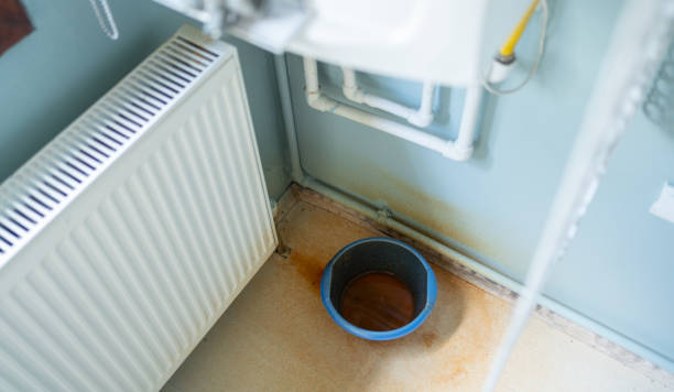 Best Ceiling water damage repair  in Granite Falls, MN