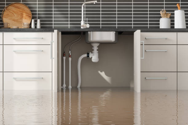 Best Carpet water damage restoration  in Granite Falls, MN