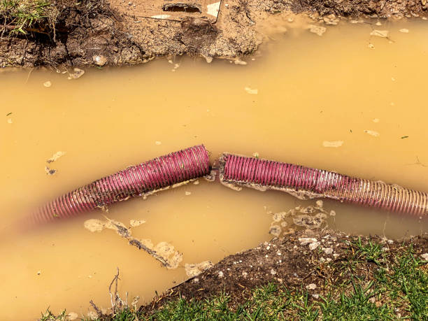 Best Professional water damage repair  in Granite Falls, MN